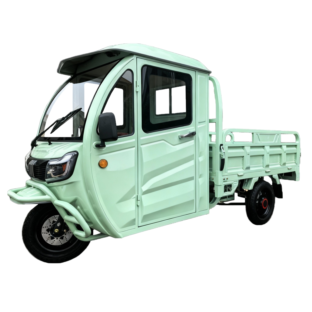 Elektrisches Dreirad Modell T3 mit Lenkrad | 1000W | 72V-58Ah | 45km/h | Grün
