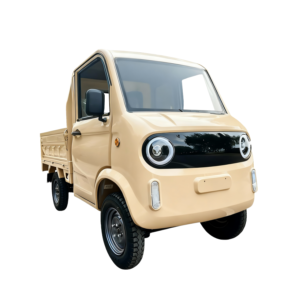 Elektrotransporter MoveEco Pickup T1 | 3000W | 45 km/h | Braun