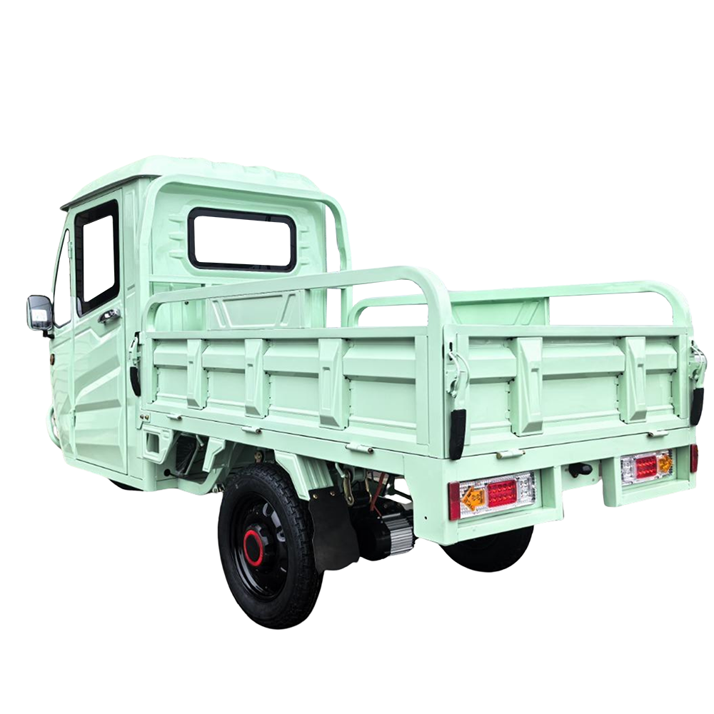 Elektrisches Dreirad Modell T3 mit Lenkrad | 1000W | 72V-58Ah | 25km/h | Grün