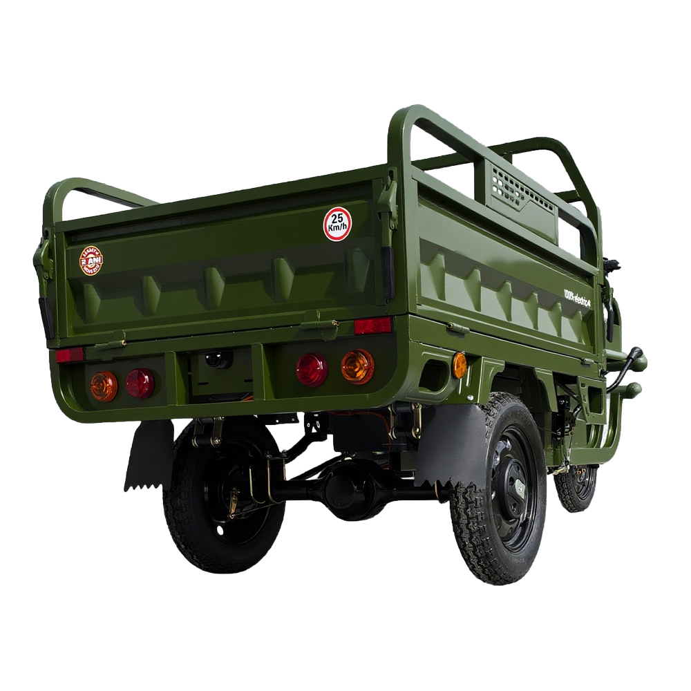 Elektrisches Dreirad Cargo 500 | 1000W | Führerscheinfrei | 25 km/h | Grün