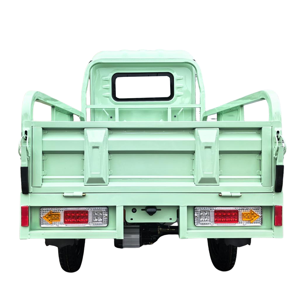 Elektrisches Dreirad Modell T3 mit Lenkrad | 1000W | 72V-58Ah | 25km/h | Grün