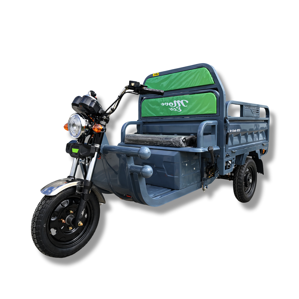 Elektrisches Dreirad MoveEco Cargo 500 | 1000W | genehmigungsfrei | 60V-20 Ah | 25 km/h | Grau