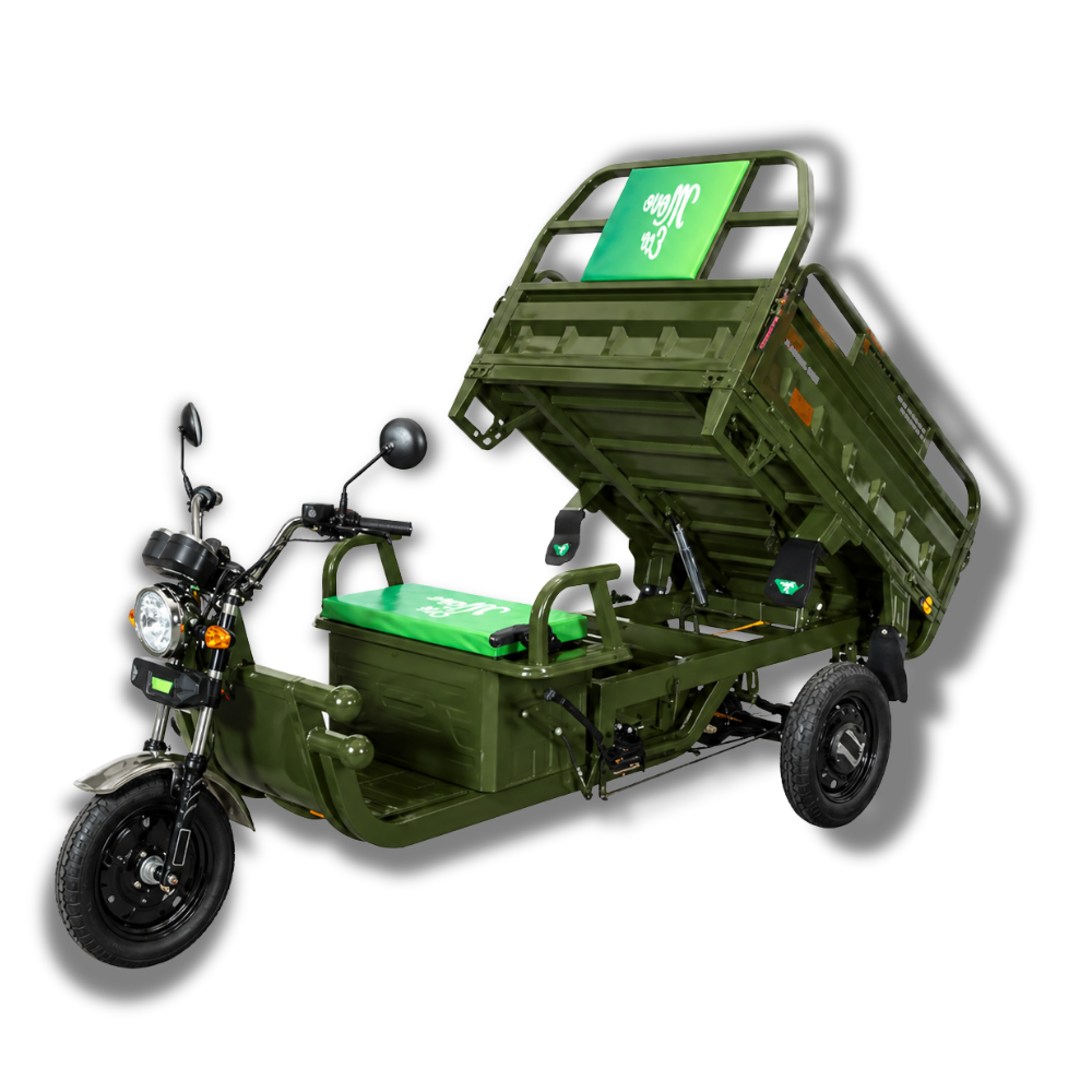 Elektrisches Dreirad MoveEco Cargo 500 | 1000W | Genehmigungsfrei | 60V-20Ah | 25km/h | Grün