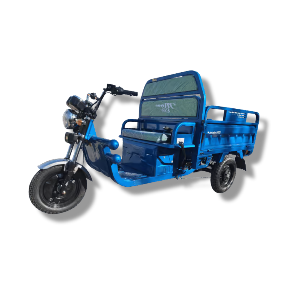 Elektrisches Dreirad MoveEco Cargo 500 | 1000W | 60V-45Ah | Führerscheinfrei | 25km/h | Blau