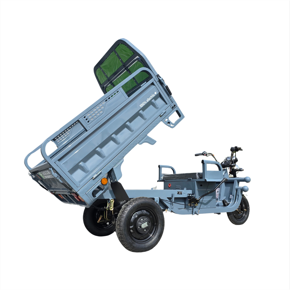 Elektrisches Dreirad MoveEco Cargo 500 | 1000W | genehmigungsfrei | 60V-20 Ah | 25 km/h | Grau