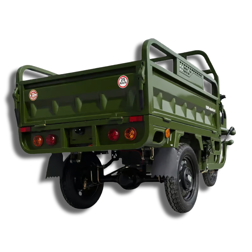 Elektrisches Dreirad MoveEco Cargo 500 | 1000W | Genehmigungsfrei | 60V-20Ah | 25km/h | Grün